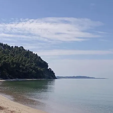 Sea And Forest - Halkidiki Villa