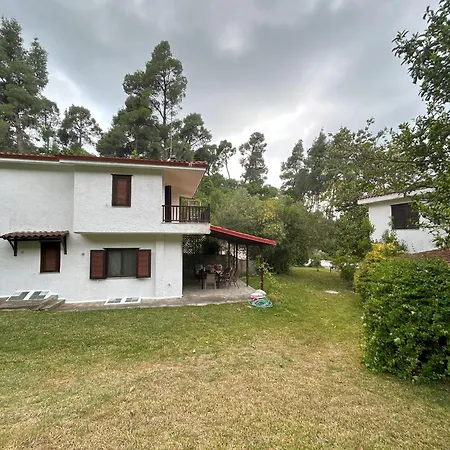 Sea And Forest - Halkidiki * Elani