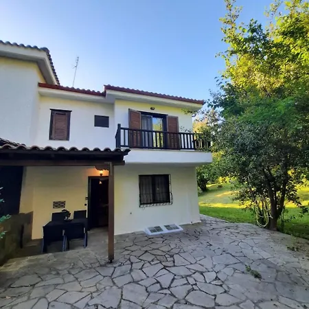 Sea And Forest - Halkidiki