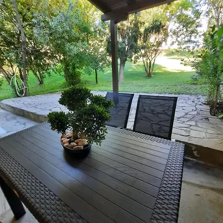 Sea And Forest - Halkidiki *