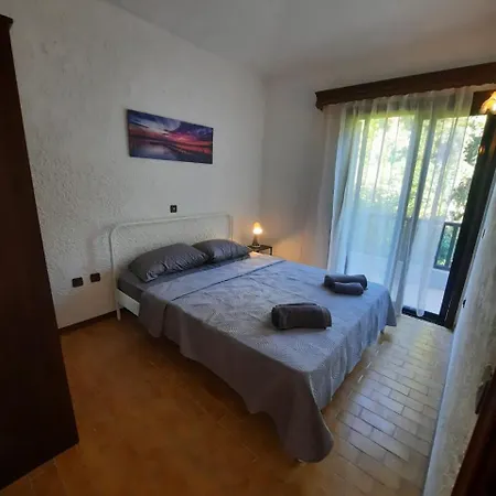 Sea And Forest - Halkidiki